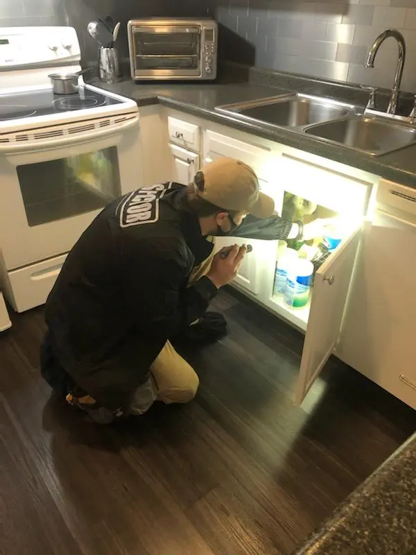 EMP Home Inspections Inc. — photo from the business 3
