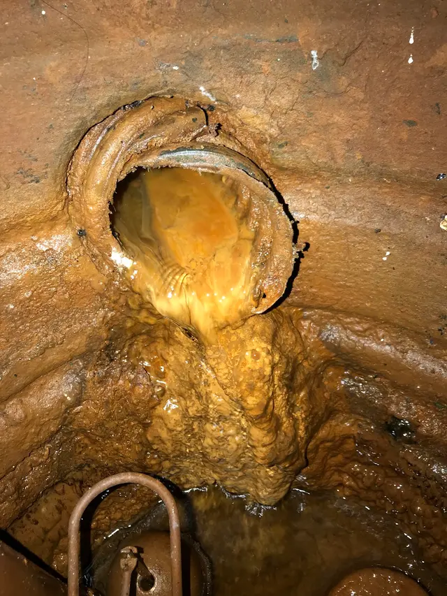 Bee Sure Home Inspection Services — photo from the business 8