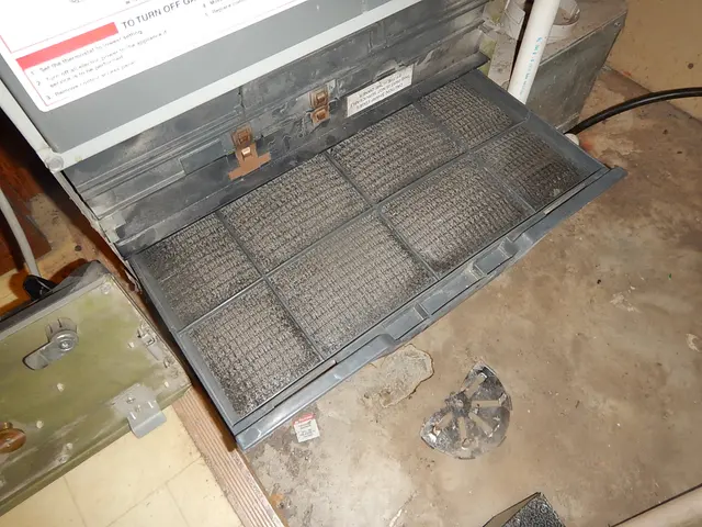 Bee Sure Home Inspection Services — photo from the business 4