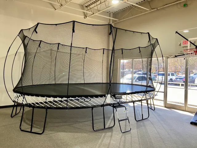 Woodplay Charlotte — photo from the business 4