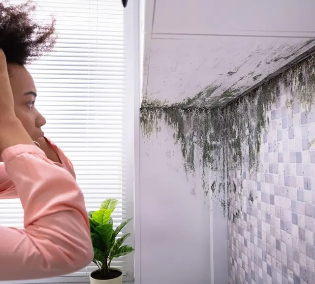 Mold Inspection Pro — photo from the business 7