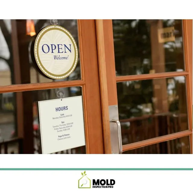 Mold Inspection Pro — photo from the business 8
