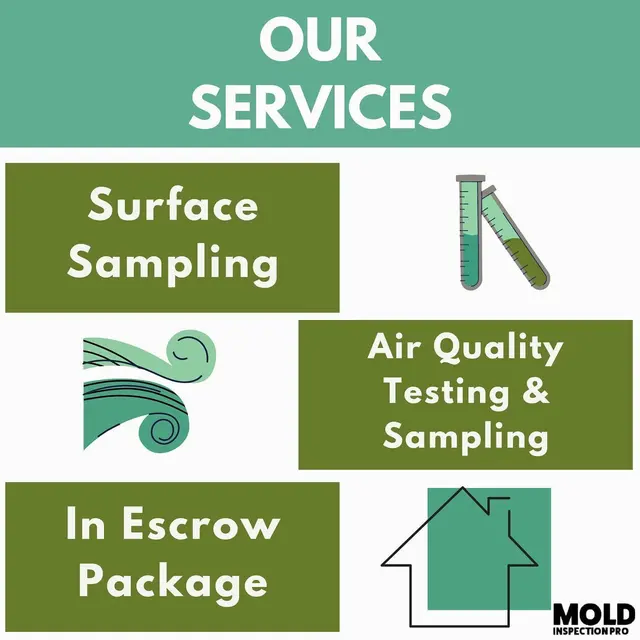 Mold Inspection Pro — photo from the business 6