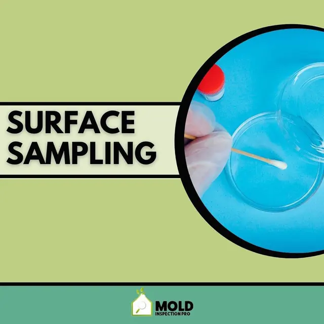 Mold Inspection Pro — photo from the business 4