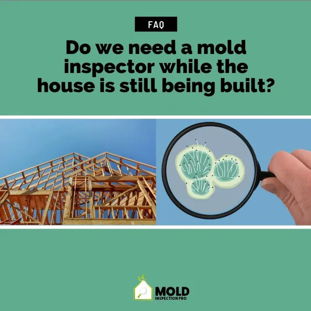 Mold Inspection Pro — photo from the business 12