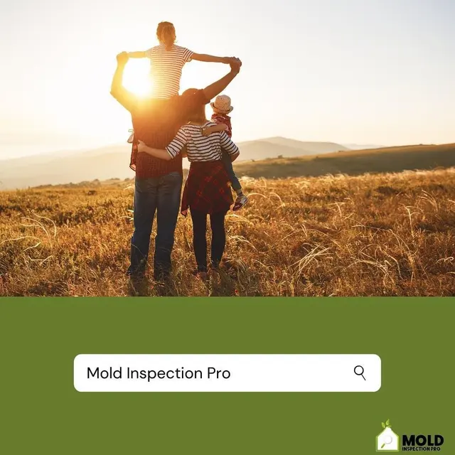 Mold Inspection Pro — photo from the business 3