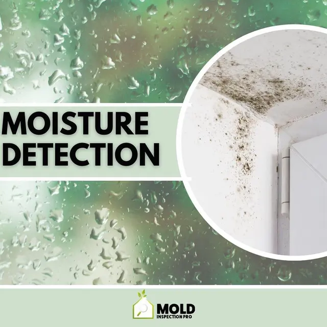 Mold Inspection Pro — photo from the business 5