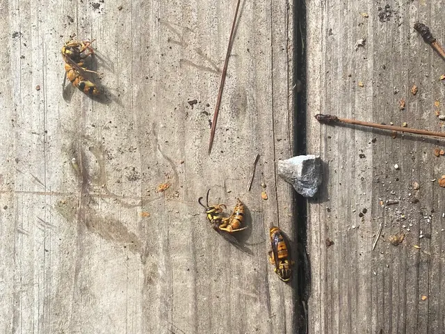 Louisiana Pest Control, LLC — customer photo 3