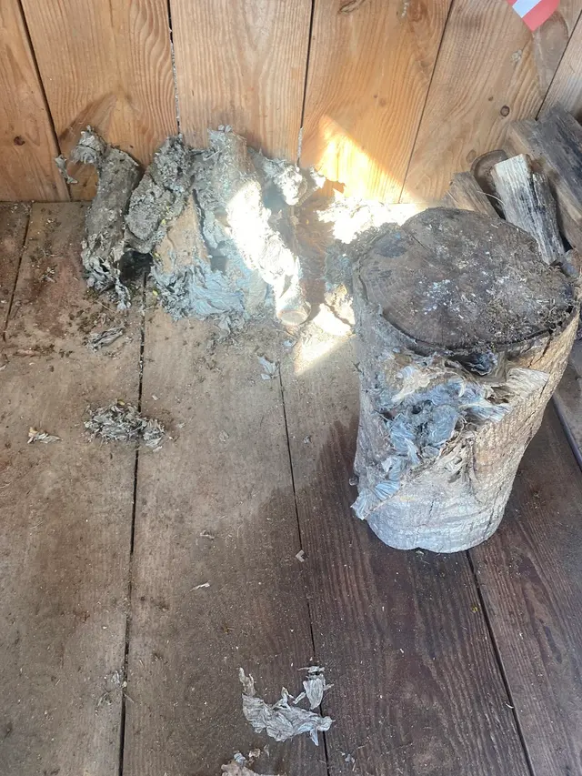 Louisiana Pest Control, LLC — customer photo 12