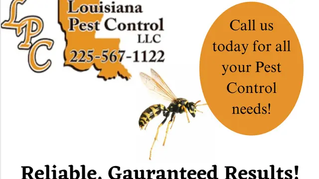 Louisiana Pest Control, LLC — photo from the business 7