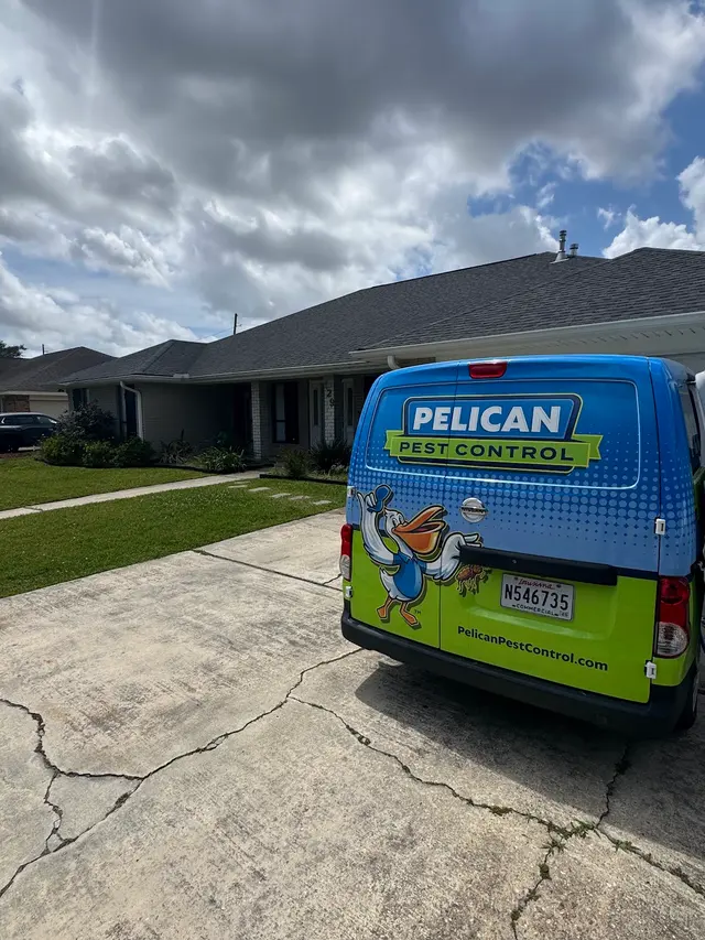 Pelican Pest Control — photo from the business 5