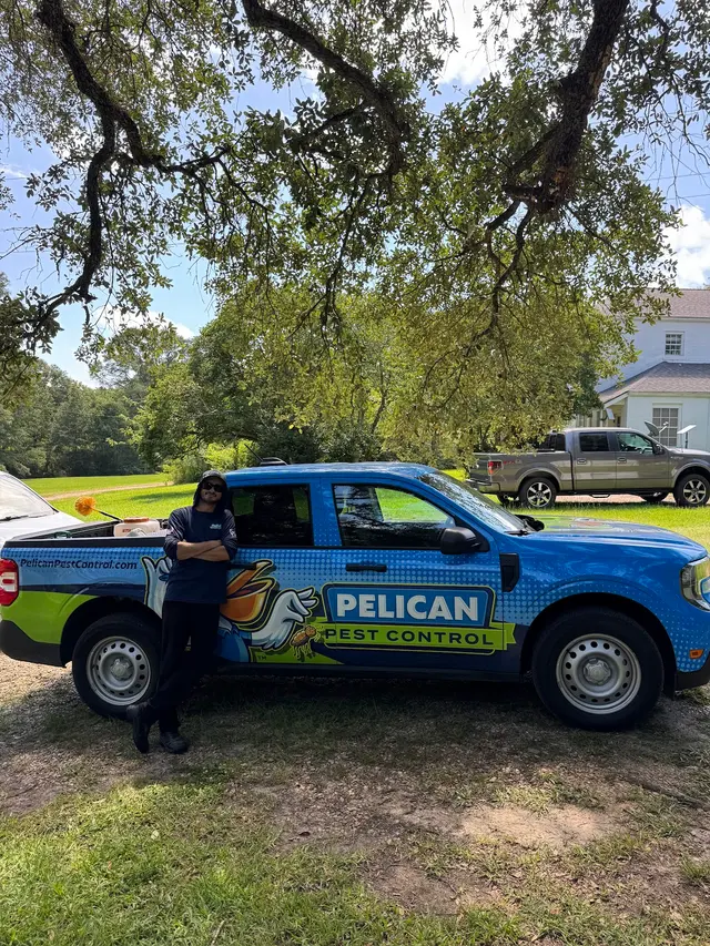 Pelican Pest Control — photo from the business 6