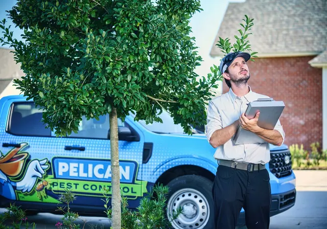 Pelican Pest Control — photo from the business 2