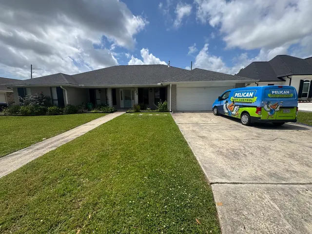 Pelican Pest Control — photo from the business 3