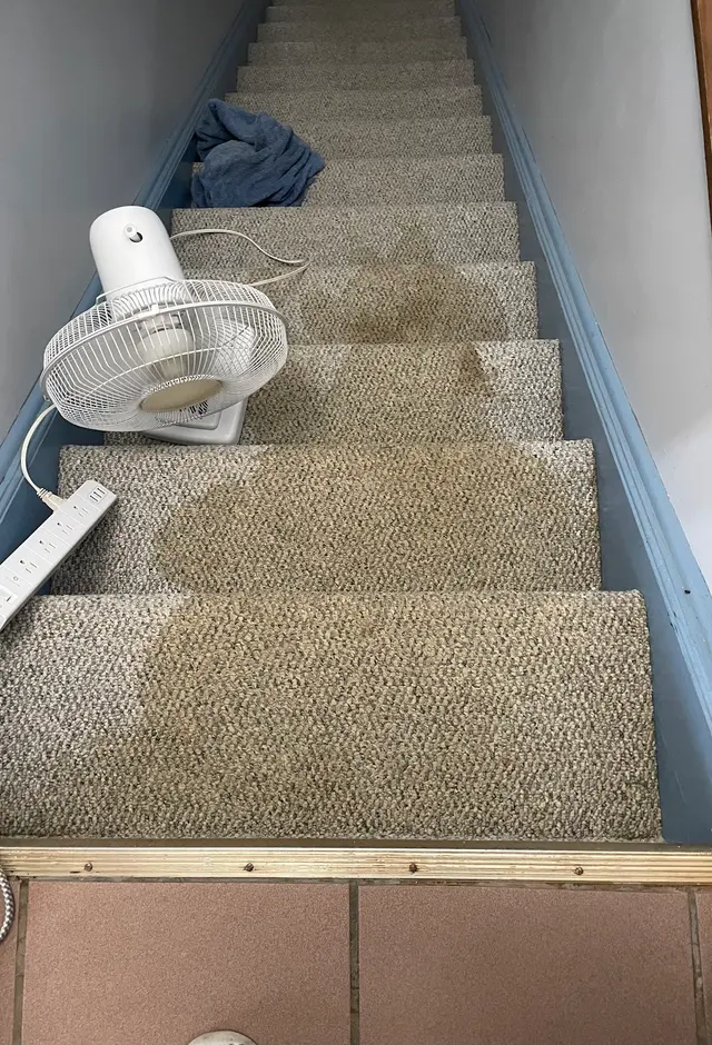 Heaven's Best Carpet Cleaning Lincoln NE — customer photo 5