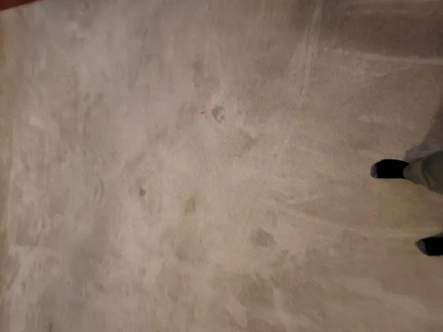 Heaven's Best Carpet Cleaning Lincoln NE — customer photo 8