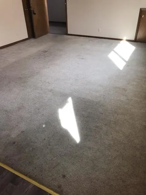 Heaven's Best Carpet Cleaning Lincoln NE — photo from the business 3