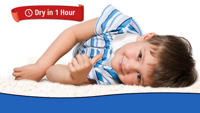 Heaven's Best Carpet Cleaning Lincoln NE — photo from the business 1