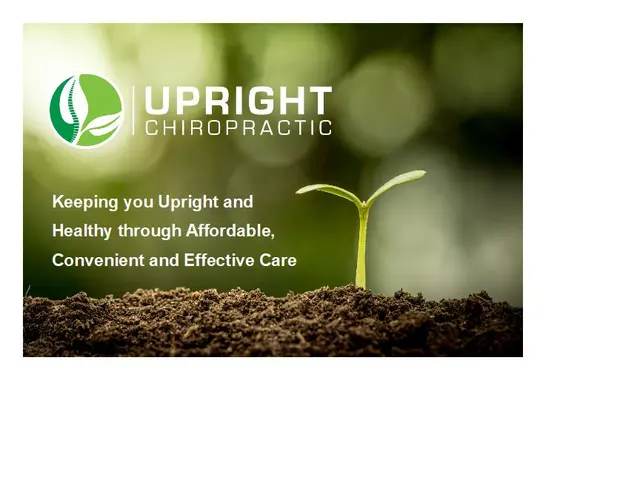Upright Chiropractic — photo from the business 12
