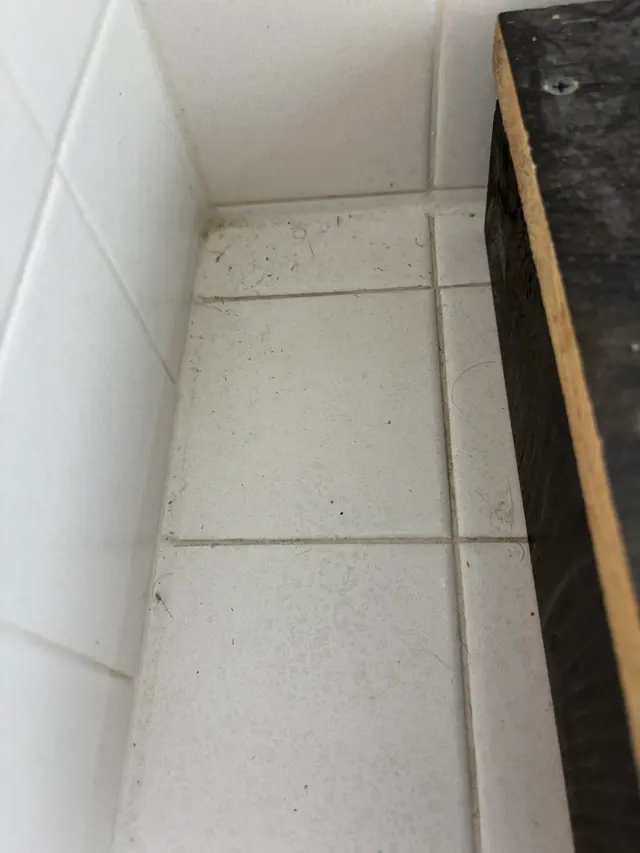 Customer photo of work by Nebraska Elite Cleaning of Lincoln, from Sarah Walsh's review