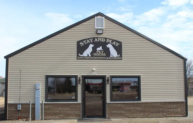 Stay and Play Pet House — photo from the business 5