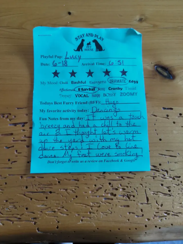 Stay and Play Pet House — customer photo 8