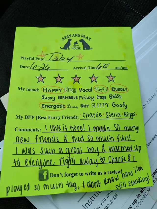 Stay and Play Pet House — customer photo 11