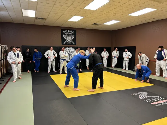 Impact Martial Arts — photo from the business 10