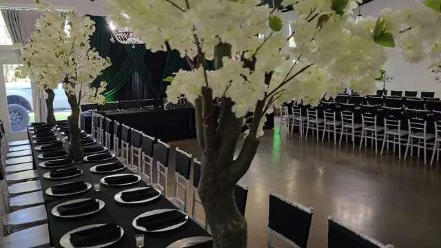 Customer photo of work by Crystal Oaks Events, from Producciones Fenix DFW's review