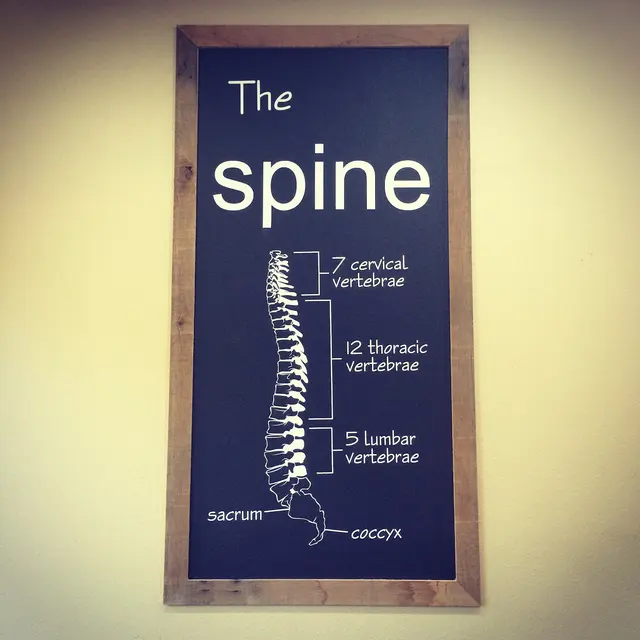 Balance Chiropractic Clinic — photo from the business 3