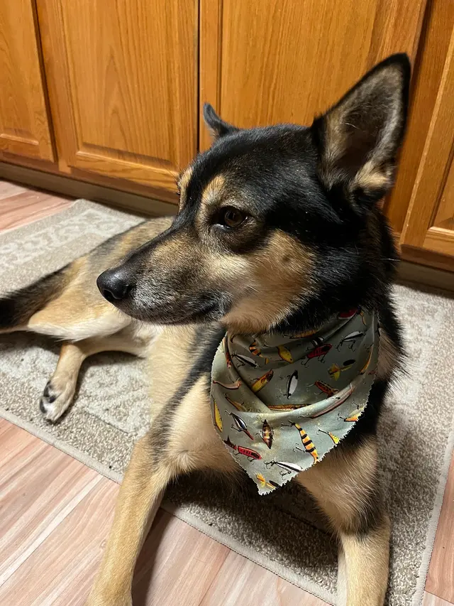 Grooming Gals — customer photo 2