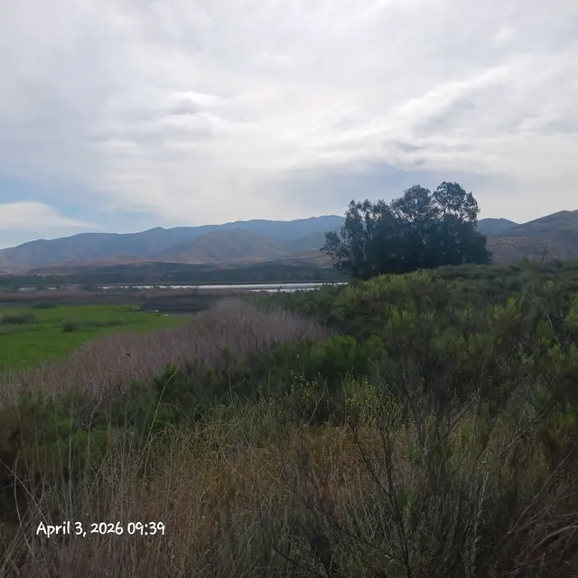 Mountain Hawk Park — customer photo 5