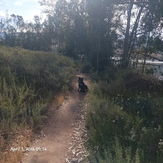 Mountain Hawk Park — customer photo 2