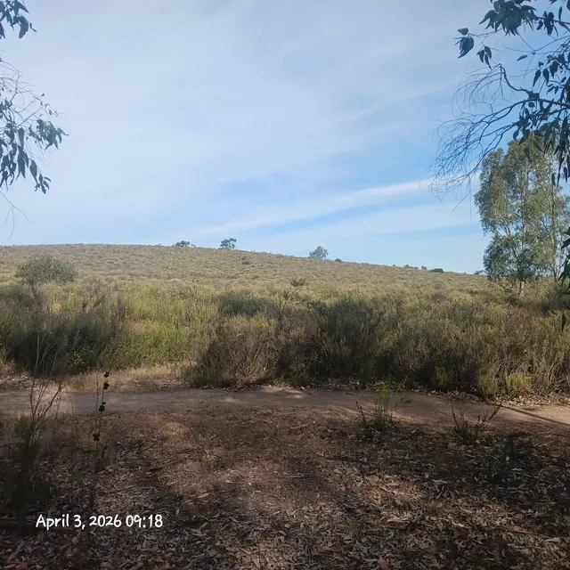 Mountain Hawk Park — customer photo 3