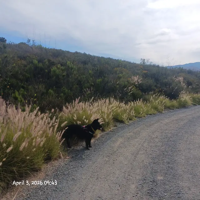Mountain Hawk Park — customer photo 6