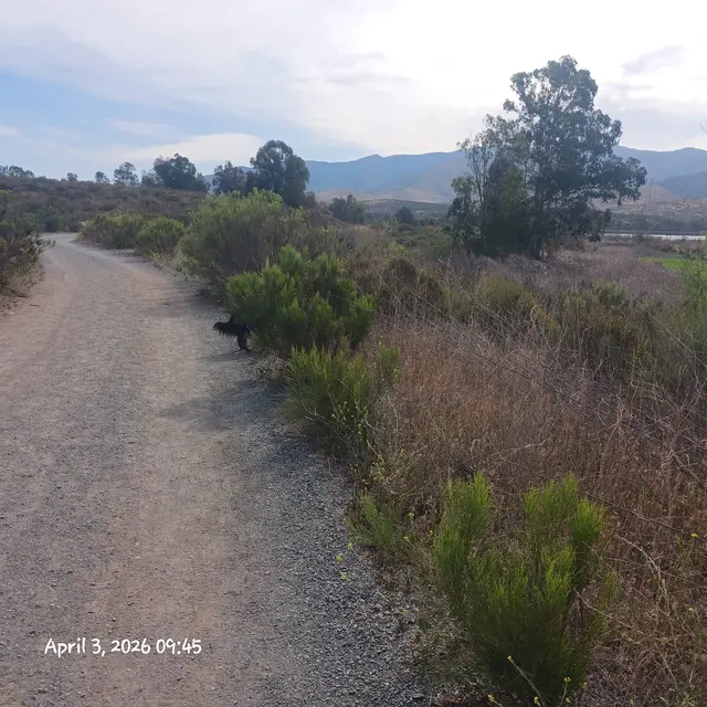 Mountain Hawk Park — customer photo 11
