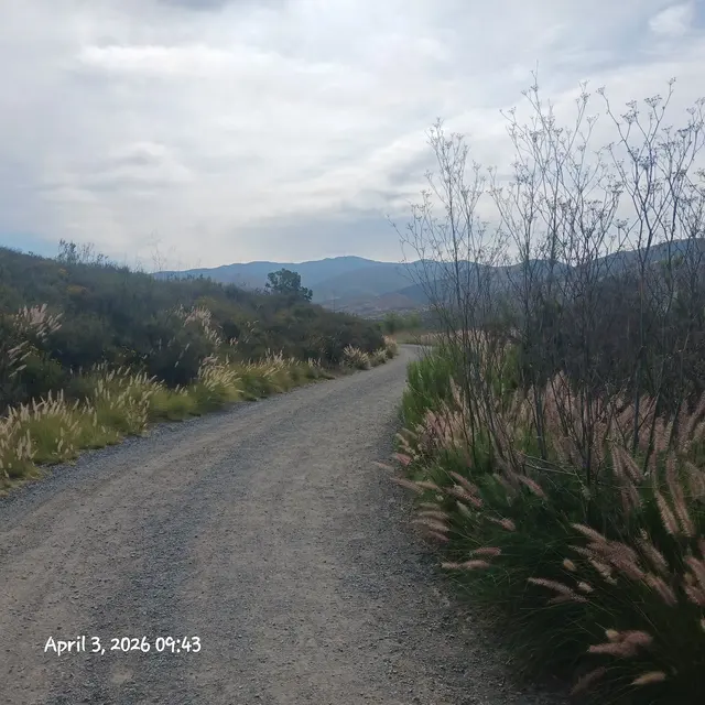 Mountain Hawk Park — customer photo 9