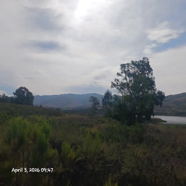 Mountain Hawk Park — customer photo 10