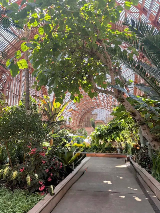 Belmont Park — customer photo 6