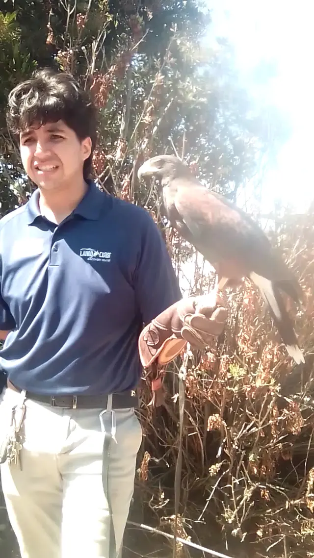Customer photo of work by Living Coast Discovery Center, from Omar Villalobos's review