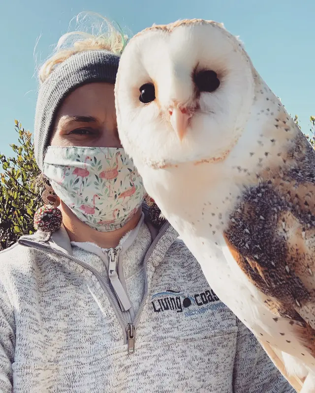 Living Coast Discovery Center — photo from the business 6