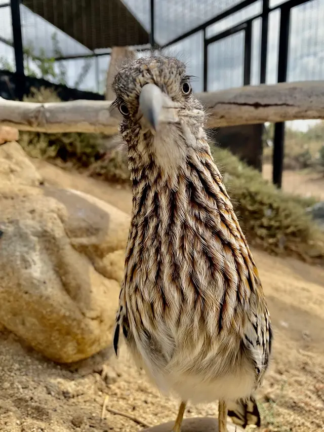 Living Coast Discovery Center — photo from the business 5