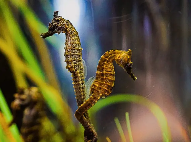 Living Coast Discovery Center — photo from the business 7