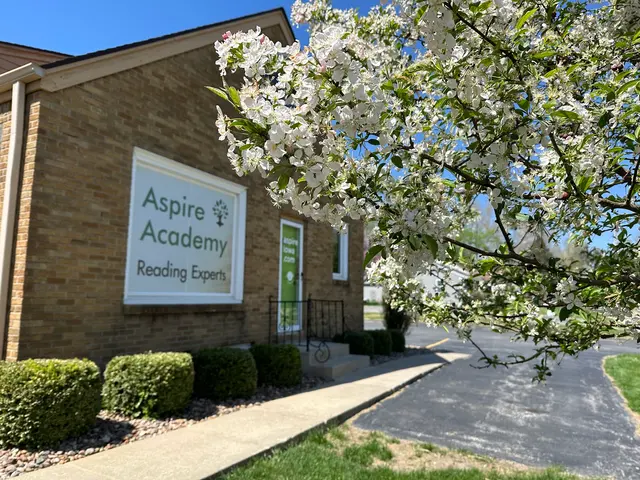 Aspire Academy - Dyslexia Tutoring — photo from the business 10