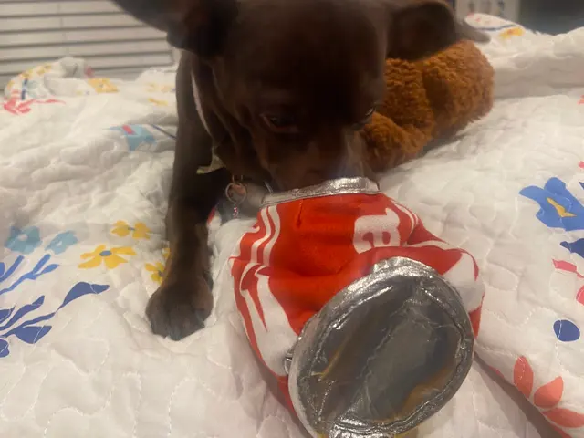 Chopper's Holistic Pet Food — customer photo 7