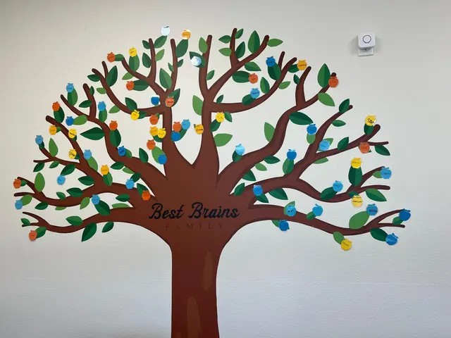 Best Brains Learning Center - Clive — photo from the business 6