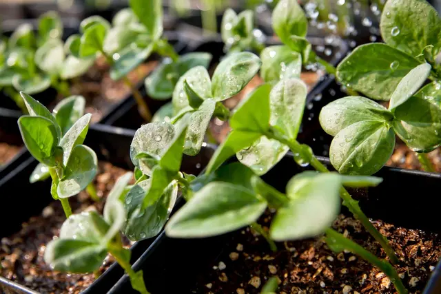 Soilscape Solutions — photo from the business 7