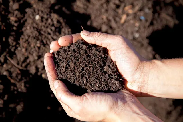 Soilscape Solutions — photo from the business 11