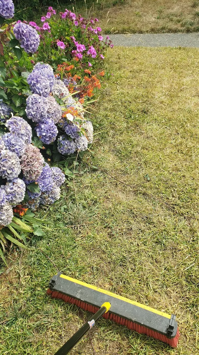 Emerald Roots Landscaping — customer photo 8