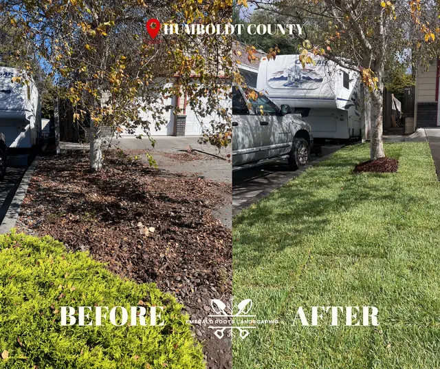 Emerald Roots Landscaping — photo from the business 1